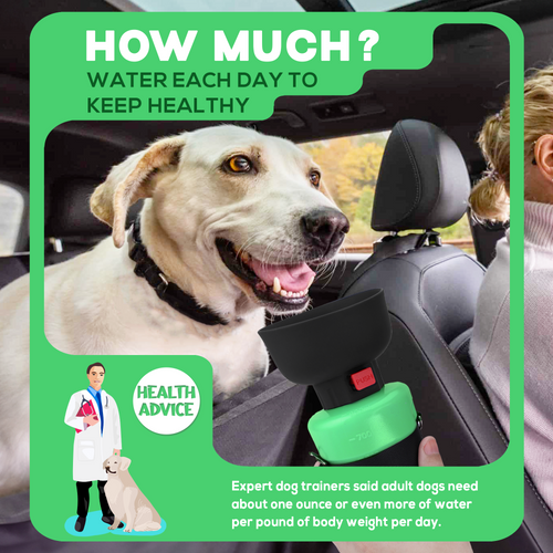 28oz Portable Dog Water Bottle Dispenser-3Gen-Green-1