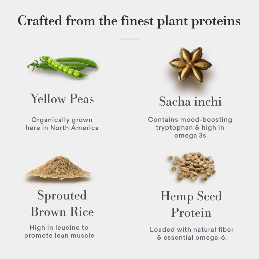 Natural Protein Blend